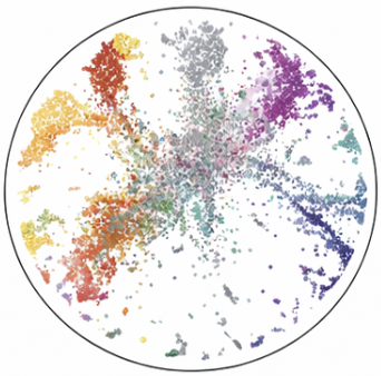 t-SNE